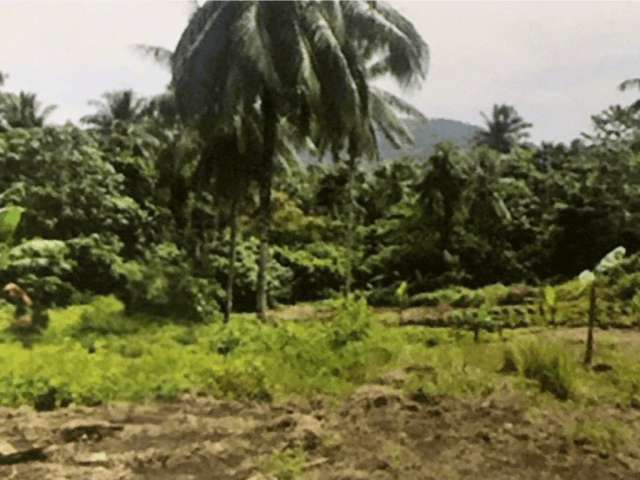 Dijual Tanah Kavling Molas, Manado 43.225 m2