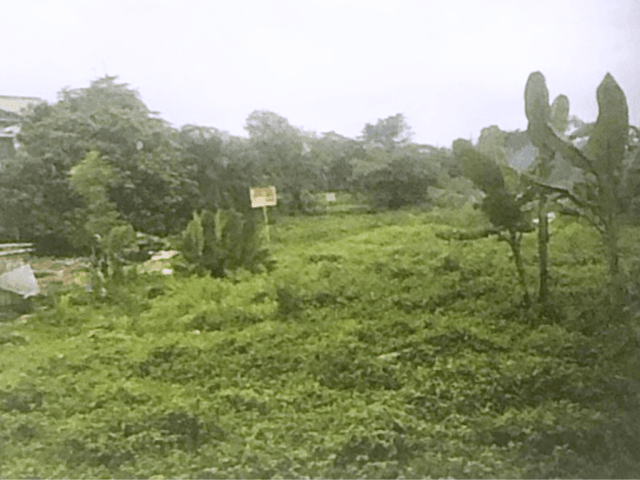 Tanah Kavling Dijual Warung Buncit 25.651 m2