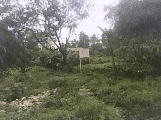 Tanah Kavling Dijual Warung Buncit 25.651 m2