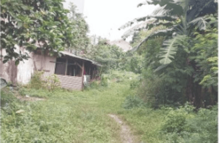 Tanah Dijual Warung Jati 7000 m2