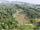 1.241.994 m2 Plot of Land For Sale at Molas Manado