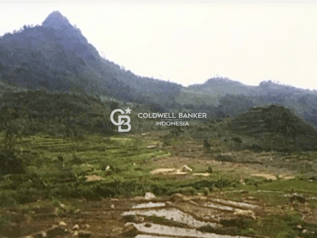 Tanah Kavling Dijual Sentul, Bogor 624.000 m2