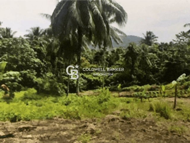 Dijual Tanah Kavling Molas, Manado 43.225 m2