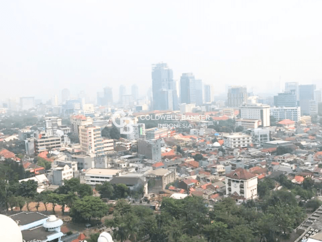 Menteng Park Tower Diamond Lantai 20