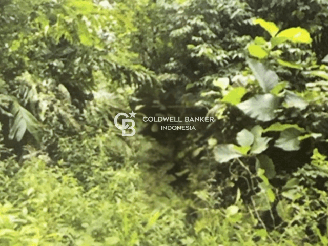 Dijual Tanah Kavling Molas, Manado 43.225 m2