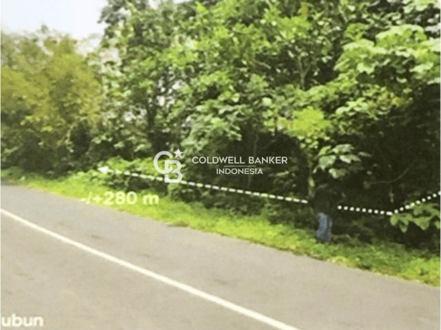 Dijual Tanah Kavling Molas, Manado 43.225 m2