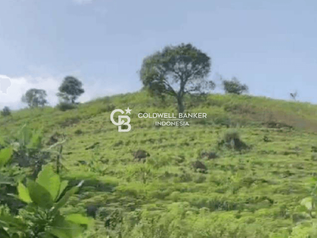 Tanah Kavling Sentul, Bogor 992.800 m2